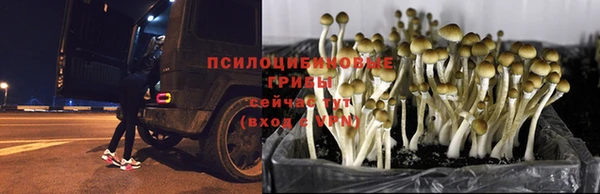 2c-b Куйбышев