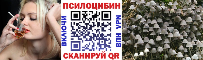 Псилоцибиновые грибы MAGIC MUSHROOMS  Костерёво 